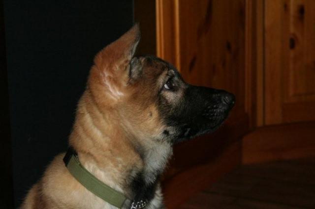 EOS 350D Okt.-Nov. - 2008 041