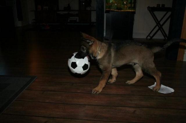 EOS 350D Okt.-Nov. - 2008 099